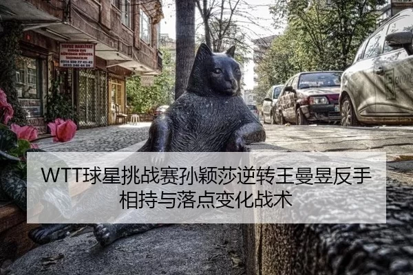 qiu-xing-tiao-zhan-sai-sun-ying-sha-ni-zhuan-wang-man-yu-fan-shou-xiang-chi-yu-luo-dian-bian-hua-zhan-shu-3-488.jpg